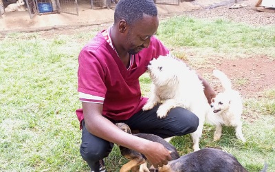 Boarding and Daycare Services for Pets in Nairobi